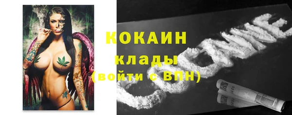 крисы Гусь-Хрустальный