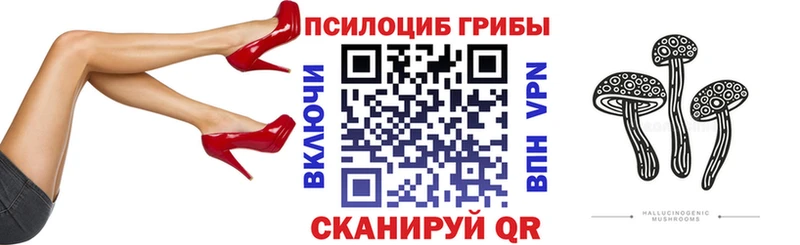 darknet наркотические препараты  Снежногорск  Галлюциногенные грибы ЛСД  продажа наркотиков 